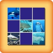 Para practicar vocabulario: animales marinos.  Memorama de animales,  Nombres de animales marinos, Animales acuáticos